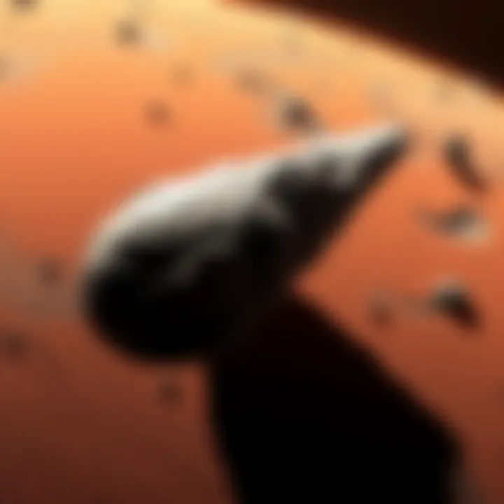 A visual of comet 3I/Atlas as seen from both Earth and Mars, showcasing differences in size and detail based on distance.