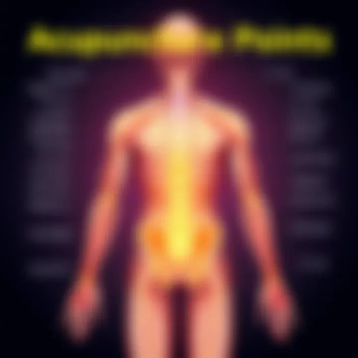 Acupuncture Points Names Acupuncture Points Names