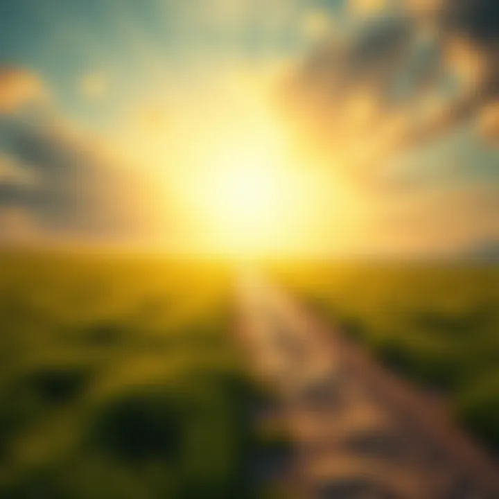 A serene landscape depicting a path leading towards a bright light, symbolizing a person's journey in the afterlife.