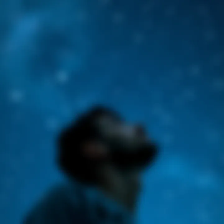A person looking up at a starry sky, contemplating the universe and spiritual experiences.