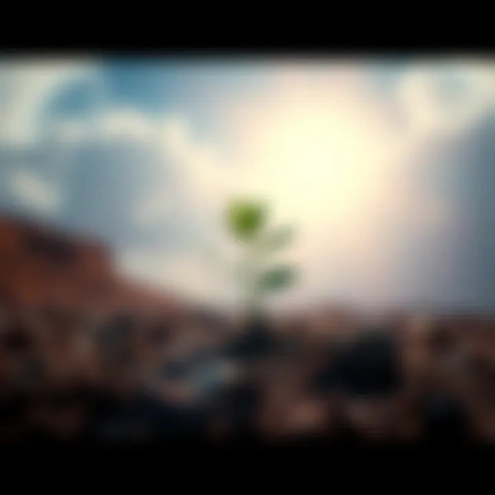 Mysterious alien plant growth A strange green plant sprouting from the ground after a meteorite crash, with a bright sky in the background