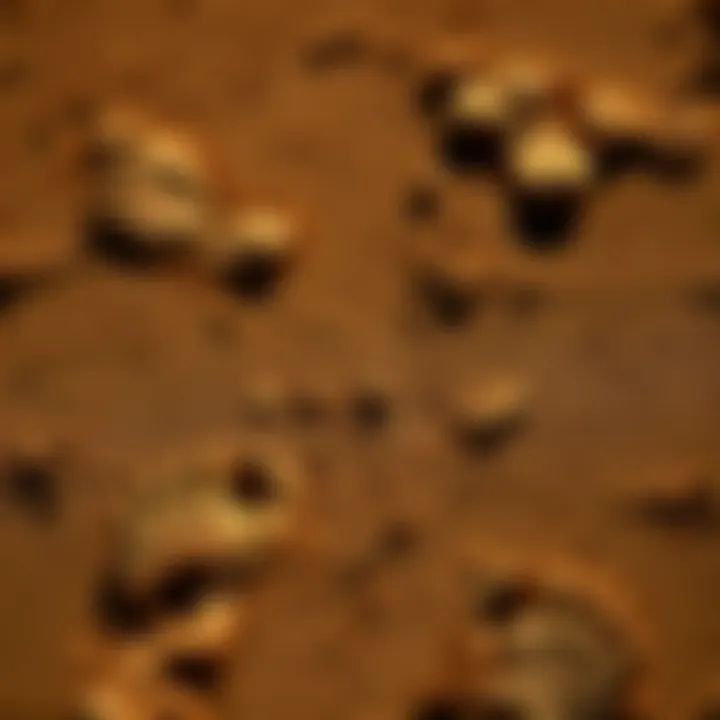 Footprints from 23,000 years ago in the ground, showing evidence of Ice Age human migration in New Mexico.