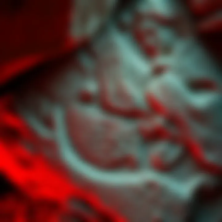 Engraving of a woman on a cave wall, showcasing ancient artistry from 25,000 years ago in France.