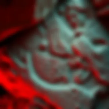 Ancient Woman Engraving Found in Cave Engraving of a woman on a cave wall, showcasing ancient artistry from 25,000 years ago in France.