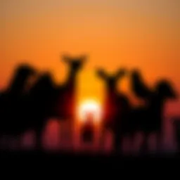 Animal Soul Concept Silhouette of various animals against a sunset, symbolizing the debate over animal souls and ethics in food consumption.