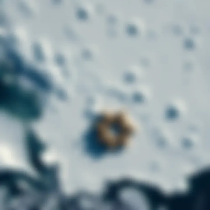 Satellite view of geometric shapes and hidden structures under the Antarctic ice