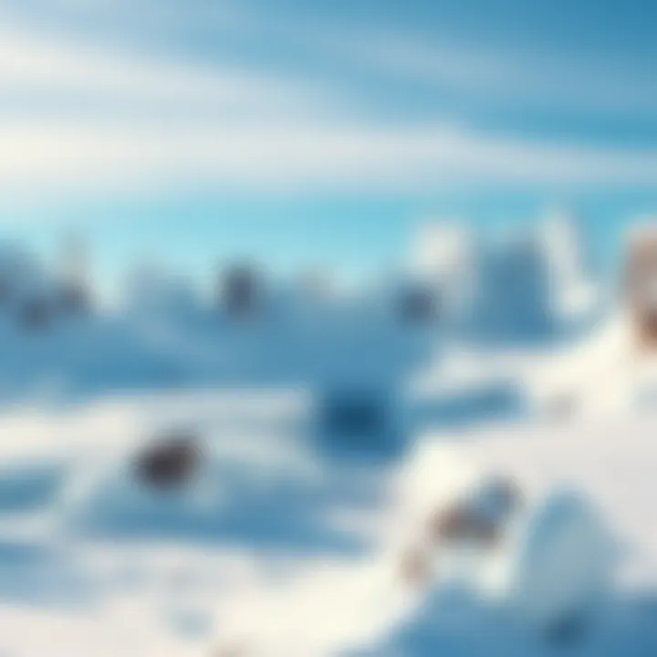 Antarctica Ice Wall Theory A panoramic view of the icy landscape of Antarctica, showcasing towering ice walls and snow-covered terrain under a clear blue sky.