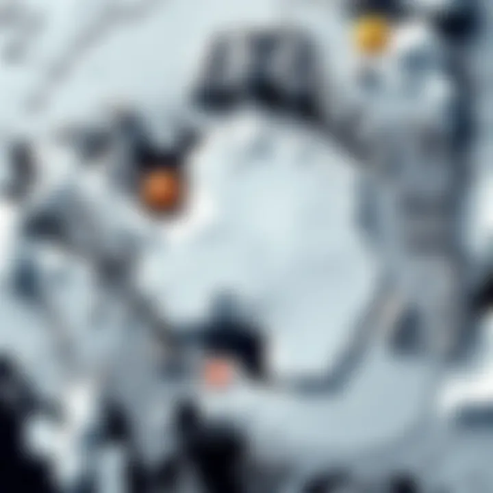 Blurry satellite image showing Antarctica with unclear central details and some detailed patches near mountains