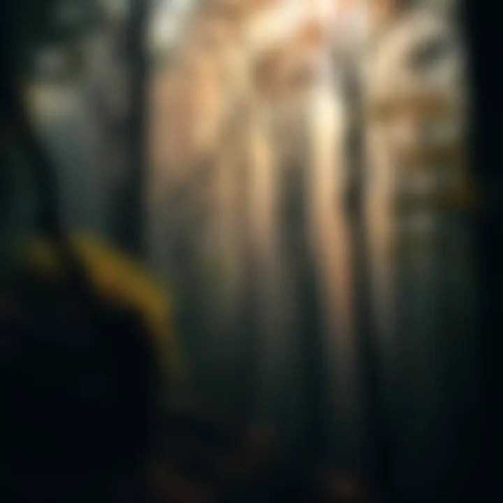A dense Appalachian forest featuring old trees and hints of folklore, like shadowy figures and mysterious lights among the foliage.