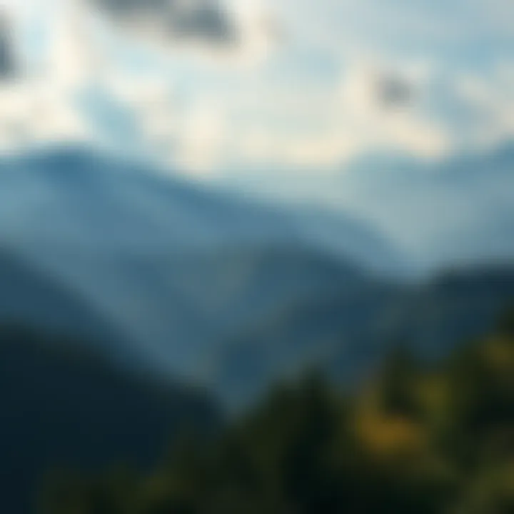 A scenic view of the Appalachian Mountains with dense forests and misty peaks, suggesting hidden wildlife.