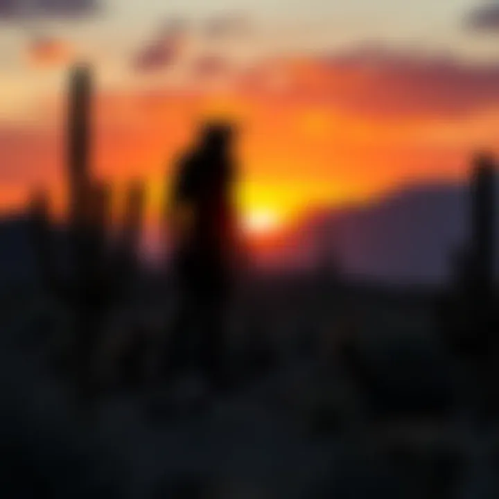 A shadowy figure resembling a cryptid stands among cacti in the Arizona desert at sunset, creating an eerie scene.