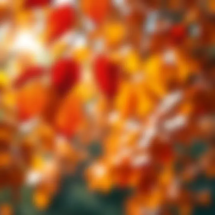 Colorful autumn leaves representing change and new opportunities in September