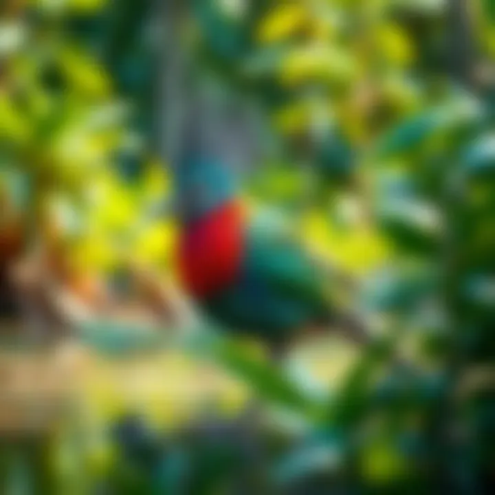 A peculiar avian-like creature with vibrant feathers spotted near the Okefenokee Swamp, surrounded by lush greenery and water.