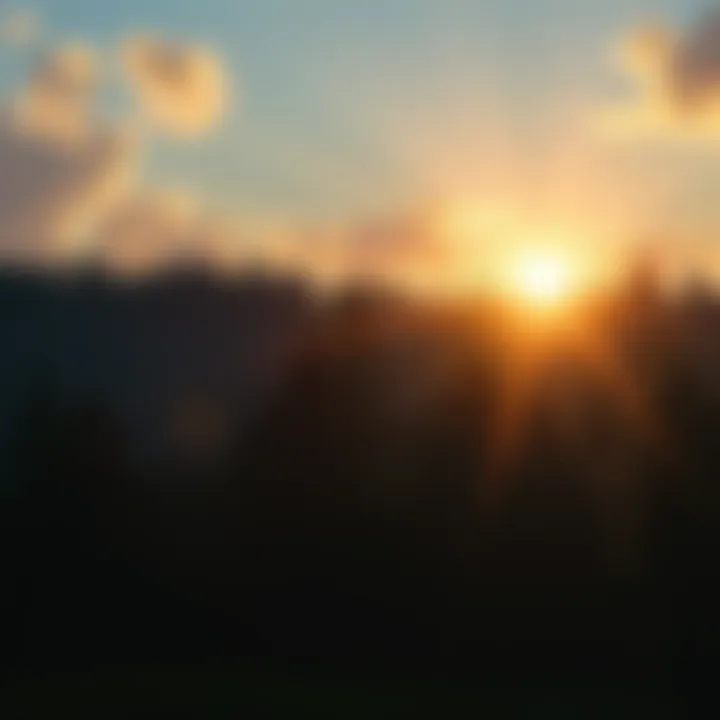 Sunrise illuminating a forest, symbolizing a sense of awakening among people