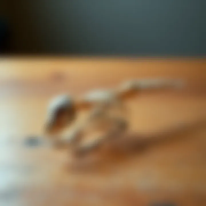 A small baby bird skeleton displayed on a wooden surface, symbolizing fragility and nature.