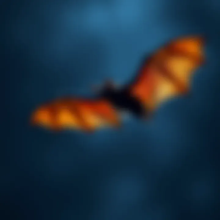 A bat flying in the night sky, highlighting its unique silhouette and wingspan.
