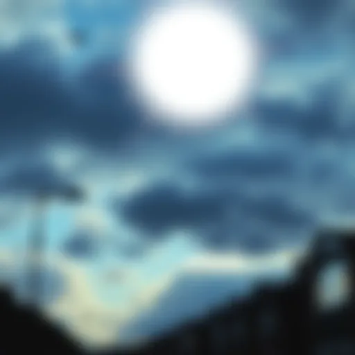 A bright orb photographed in Belfast just before it took off vertically into the afternoon sky