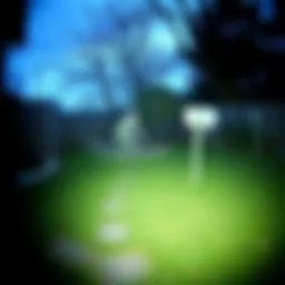 A mysterious, bigfoot-like creature squatting in a backyard captured by a trail camera.