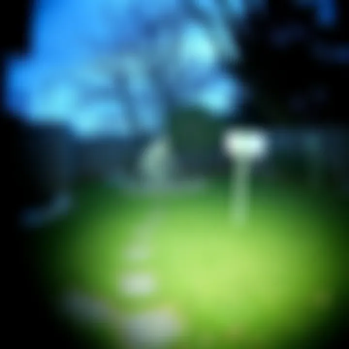 A mysterious, bigfoot-like creature squatting in a backyard captured by a trail camera.