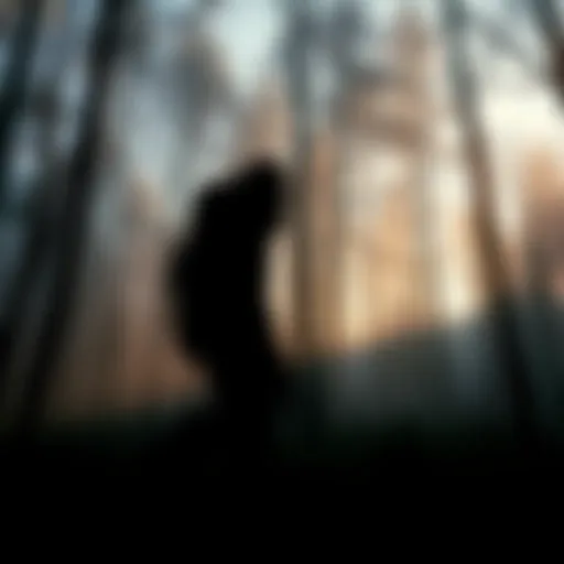 A shadowy figure resembling Bigfoot walking through the trees in Hoosier National Forest
