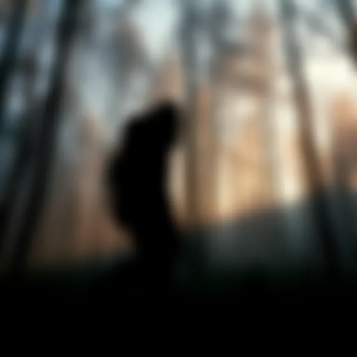 A shadowy figure resembling Bigfoot walking through the trees in Hoosier National Forest