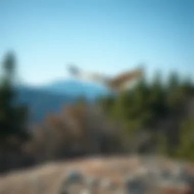 A bird staying still in the air, with a scenic backdrop of trees and blue sky.