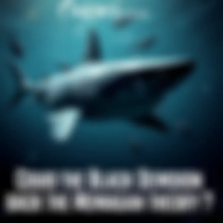 A large, dark shark resembling the Black Demon swims in deep ocean waters, surrounded by bubbles and marine life, symbolizing the debate over its connection to the Megalodon.