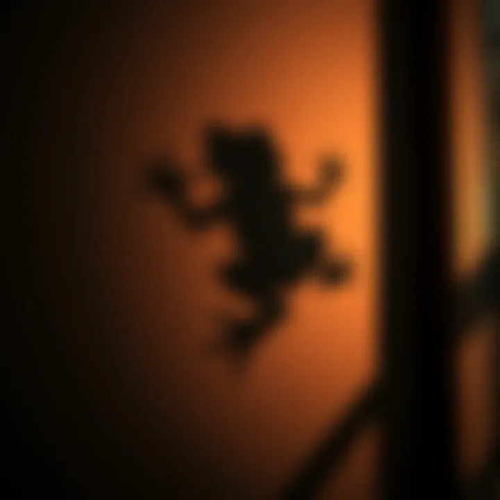 A shadow shaped like a frog appears on a wall, hinting at possible paranormal activity in a home.
