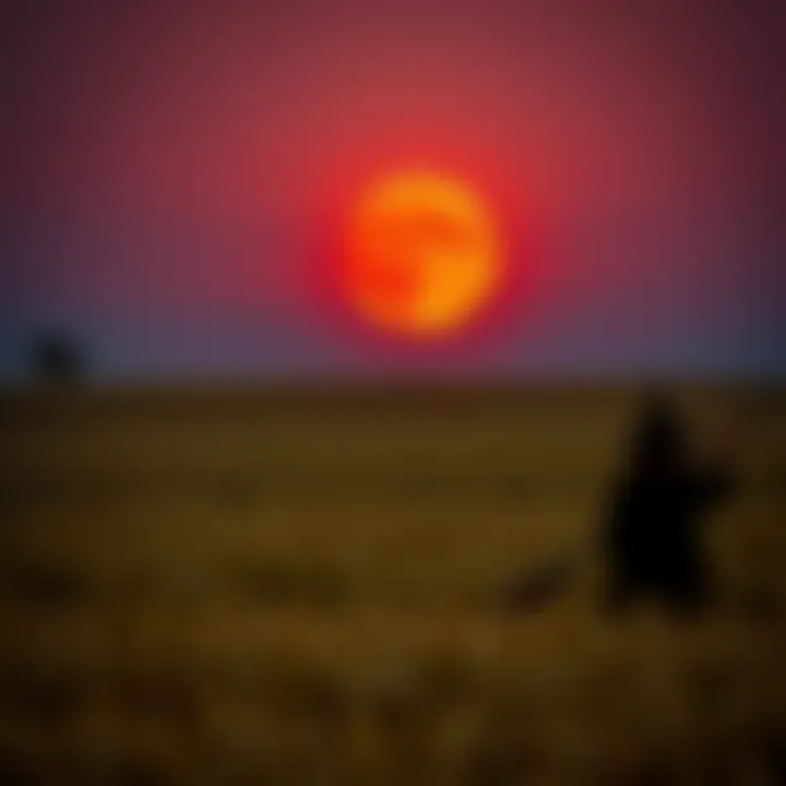 A Blood Moon rising over a golden harvest field with a witch observing the sky, reflecting confusion about its timing.