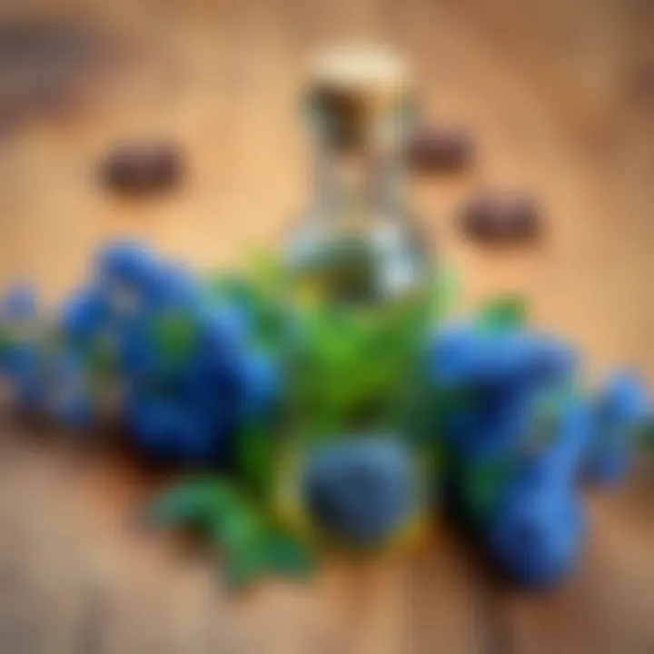 A clear glass bottle filled with Blue Vervain tincture, surrounded by fresh Blue Vervain leaves, resting on a wooden table.