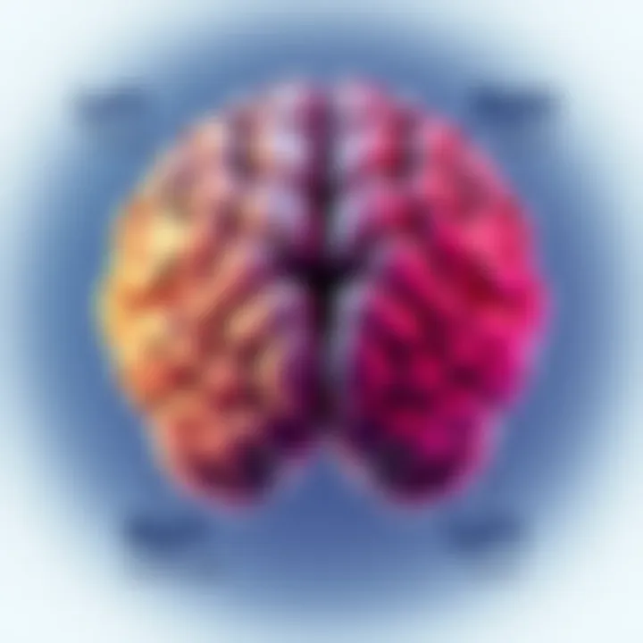 Illustration showing a split brain with right and left sides labeled, representing different traits associated with each side in women.