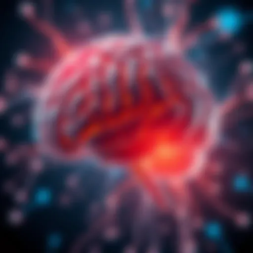 An illustration showing the right side of the brain highlighted, symbolizing right brain dominance and cognitive functions.