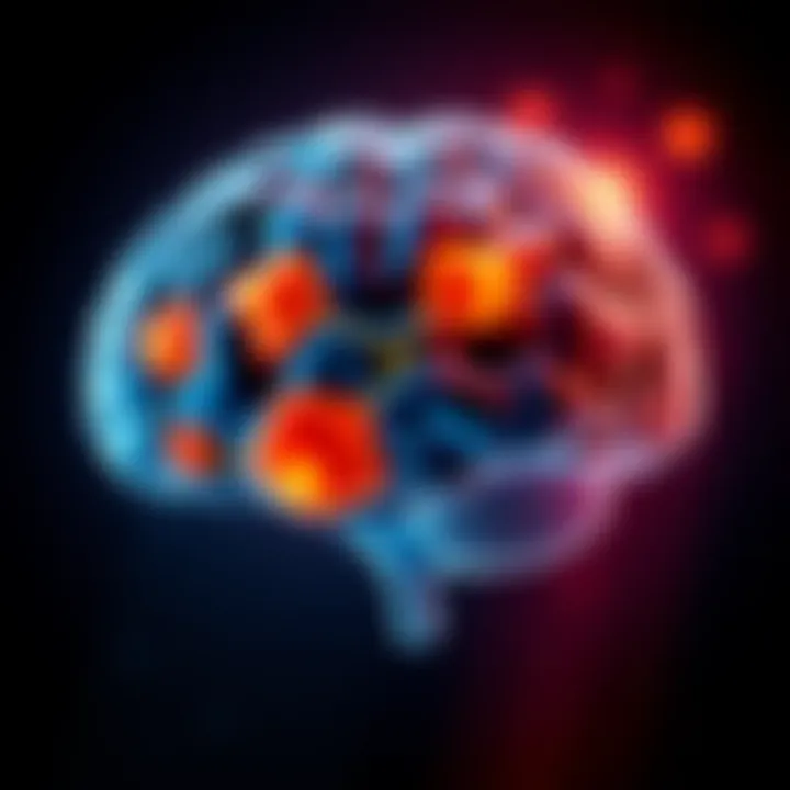Illustration showing different brain regions correlated with personality types based on MRI study findings.