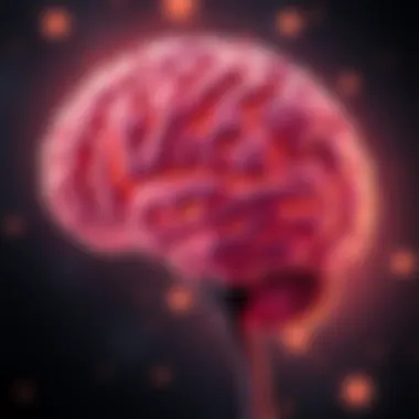 An illustration of a brain showing areas affected by psilocybin, highlighting changes in self-perception and identity.