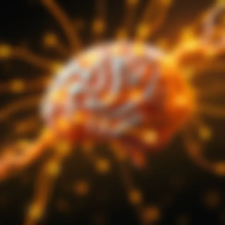 Illustration of a brain with light pathways showing sensory connections and processing speed.
