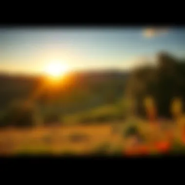 A warm sunrise illuminating a serene landscape with trees and flowers, symbolizing positive change and hope for good news this August.