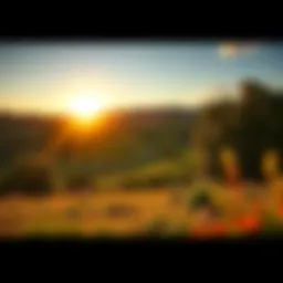 A bright sunrise over a peaceful landscape A warm sunrise illuminating a serene landscape with trees and flowers, symbolizing positive change and hope for good news this August.