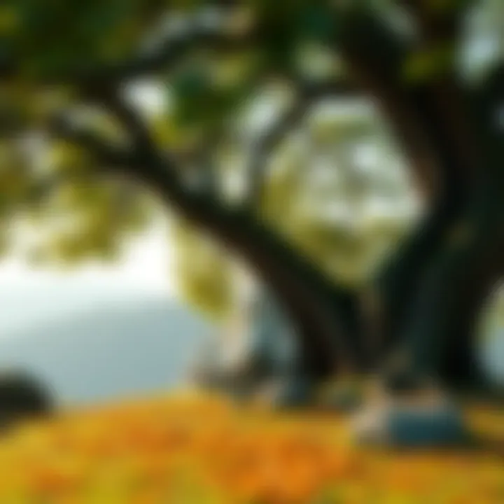 The Buddha sitting peacefully in meditation beneath the Bodhi tree, surrounded by nature and tranquility.