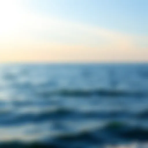 A serene ocean view with gentle waves and a clear sky, symbolizing self-discovery and reflection on personal lineage.