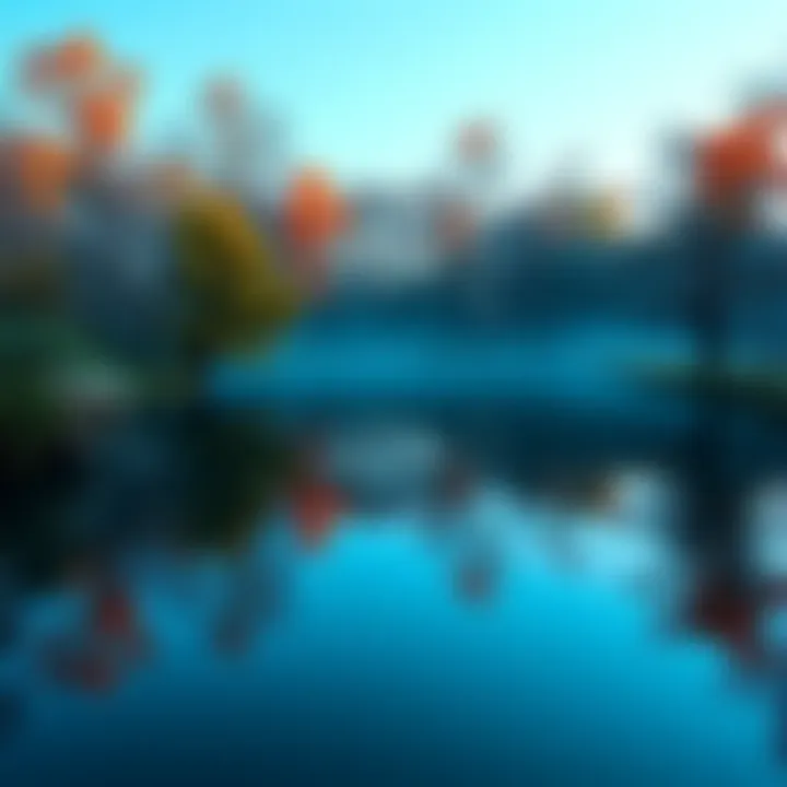 A calm reflection on existence A serene pond surrounded by trees, symbolizing contemplation on life and identity.