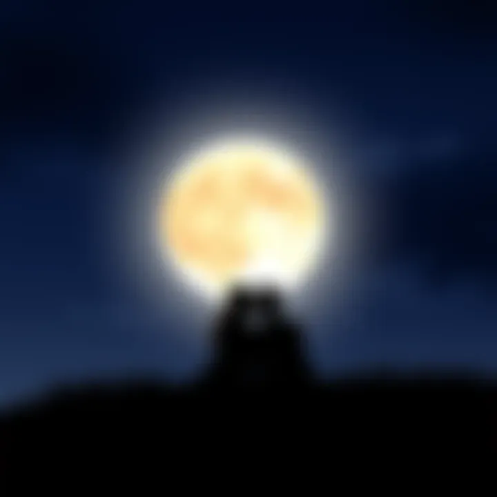 A serene night sky with a bright full moon, symbolizing emotional connections. Silhouettes of two people sitting together under the moonlight, representing bonds and care.