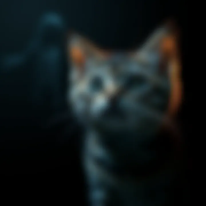 A cat with wide eyes staring into the darkness, capturing a spooky moment, with a ghostly shadow in the background.
