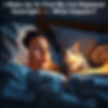 A surprised person looks at a different cat beside them in bed, showing confusion and curiosity