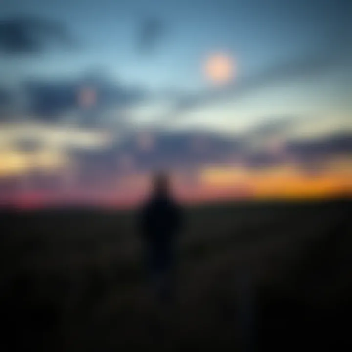 Chris Bledsoe stands in a field, looking at glowing orbs in the sky during sunset.