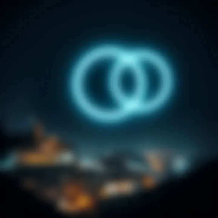 Illuminated circular lights moving in a symmetrical pattern over the town of Sestri Levante at night
