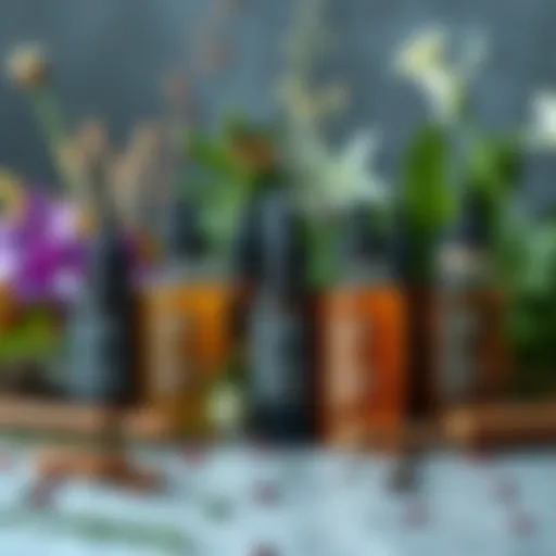 A display of herbal tinctures in bottles surrounded by fresh herbs and plants, representing Clay Apothecary's new business venture.