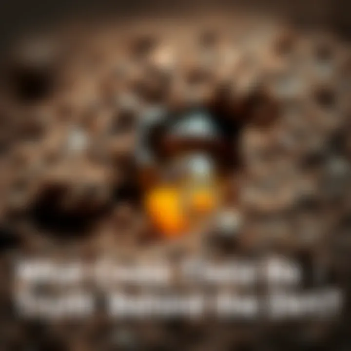 A close-up view of dirt showing unusual colors and textures, suggesting something might be hidden inside.