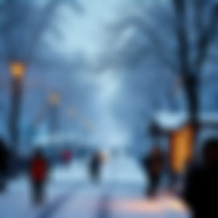 A frozen street with snow-covered trees and people bundled up in winter clothing, highlighting the effects of cold weather events.