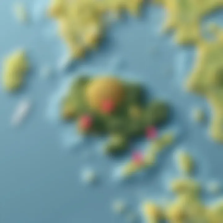 A Google Maps view highlighting 124 Conch St Island with marked points of interest