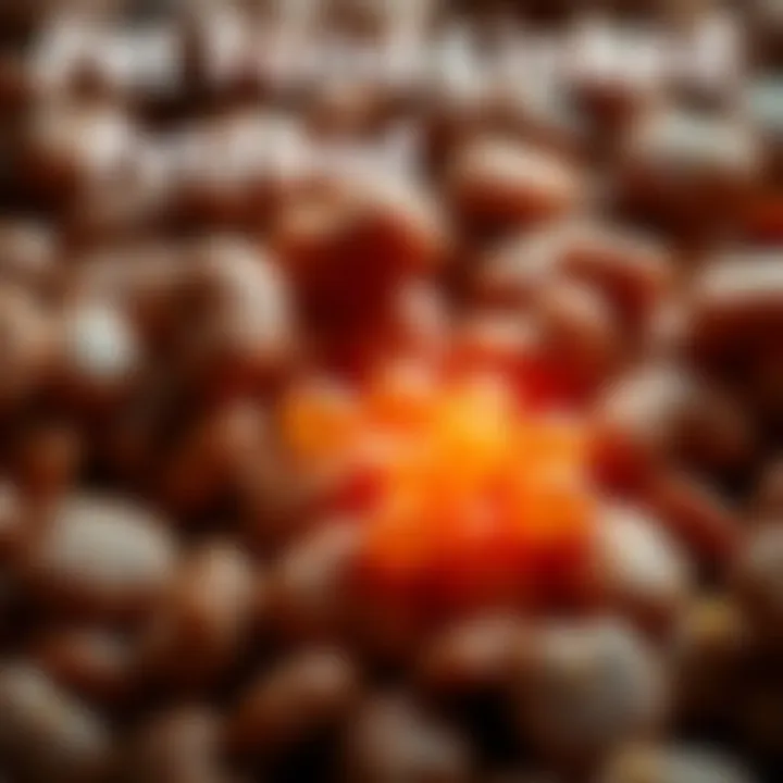 A close-up of pet food with visible signs of contamination, highlighting parasite eggs